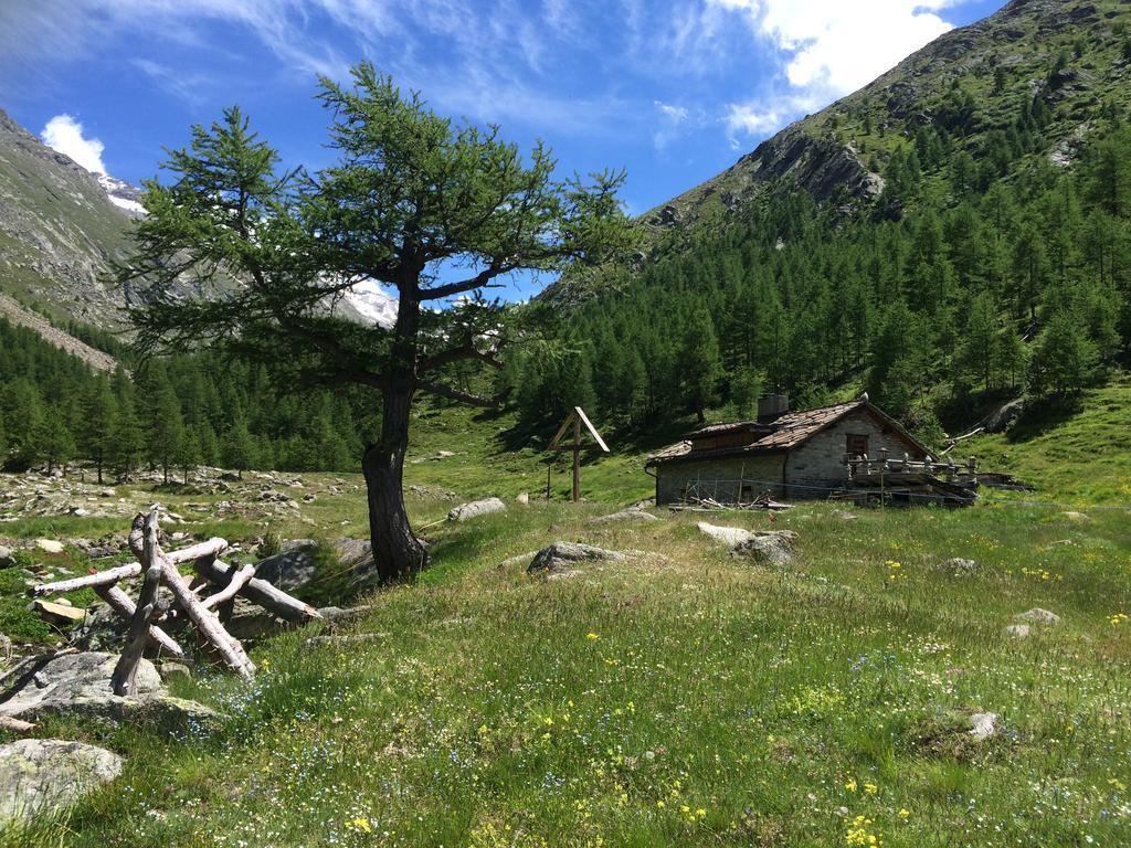Chalet Sunstar Saas-Grund Kültér fotó
