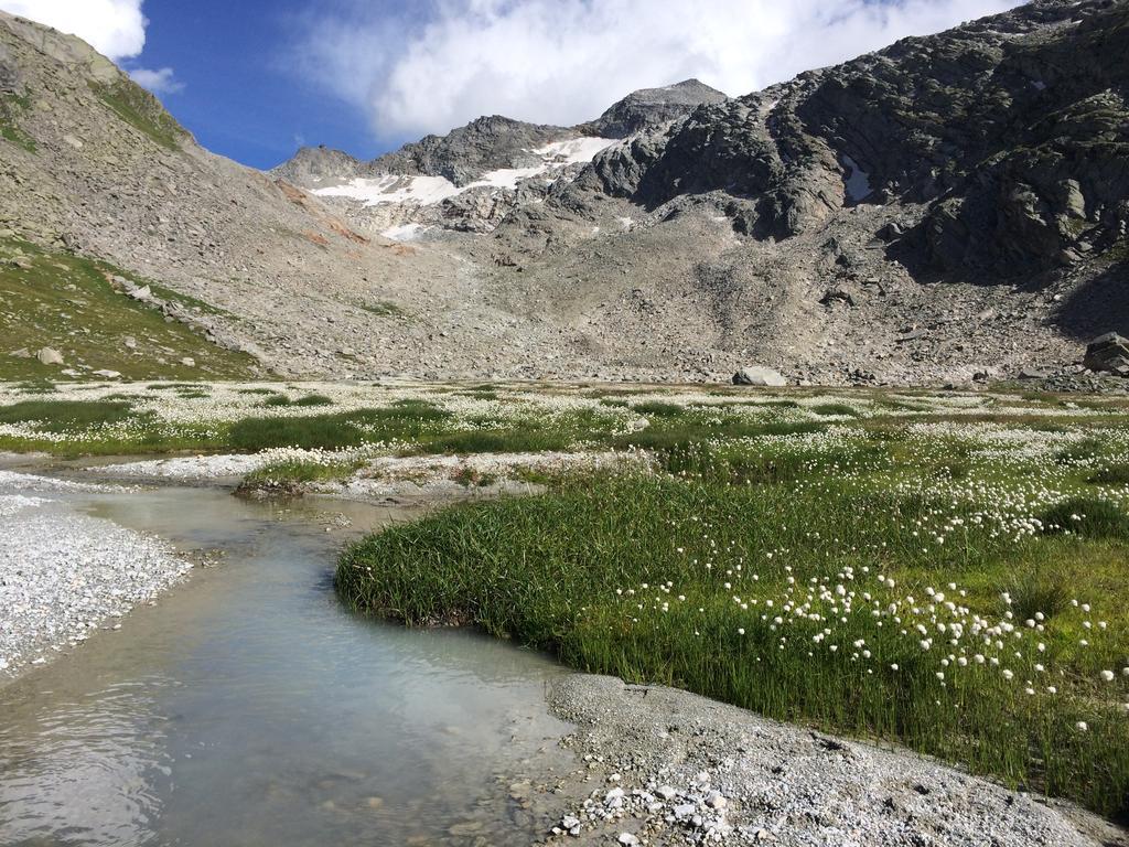 Chalet Sunstar Saas-Grund Kültér fotó