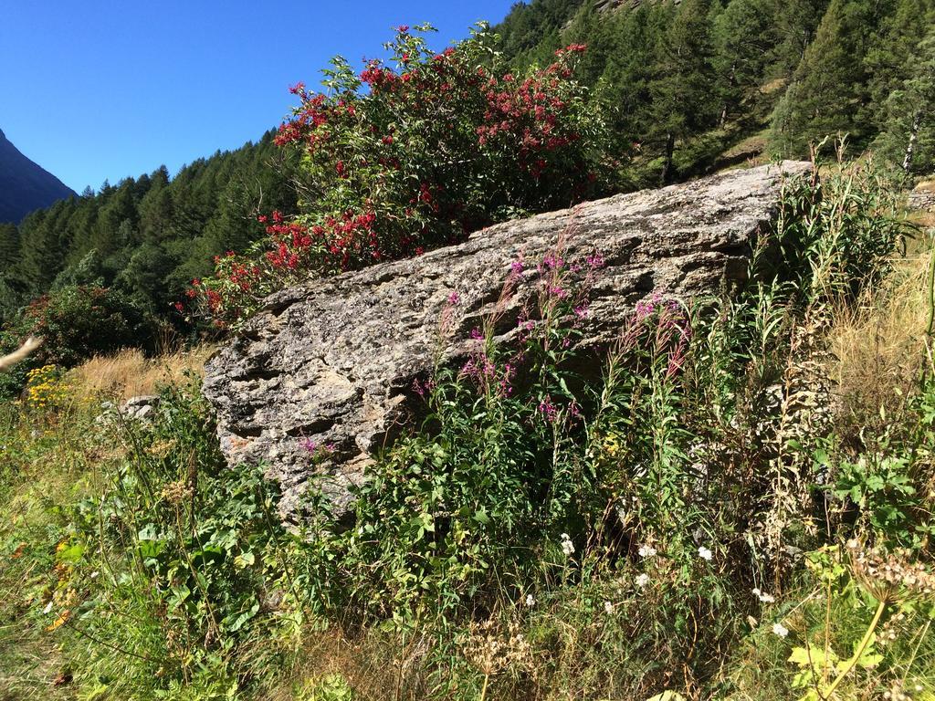 Chalet Sunstar Saas-Grund Kültér fotó