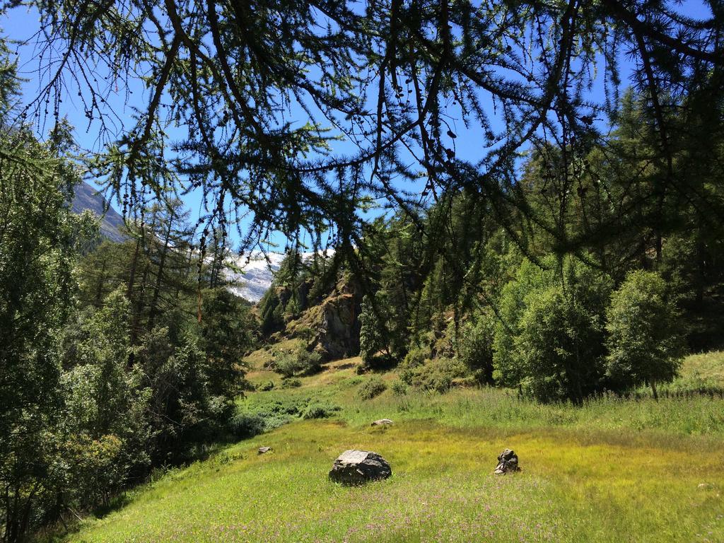Chalet Sunstar Saas-Grund Kültér fotó
