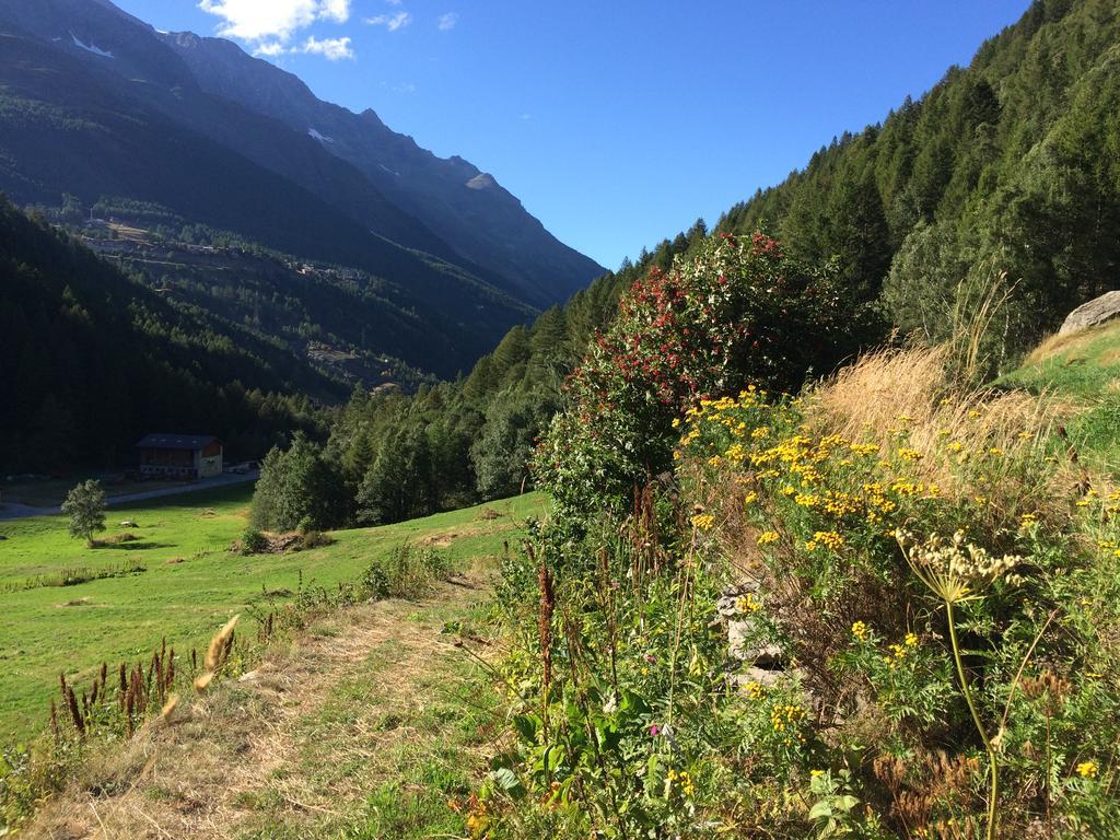 Chalet Sunstar Saas-Grund Kültér fotó